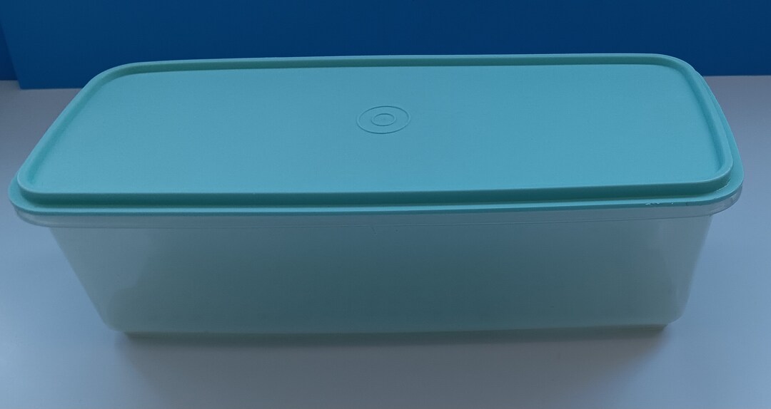 Vintage Tupperware Mint Green Vegetable/celery Storage Container, Retro