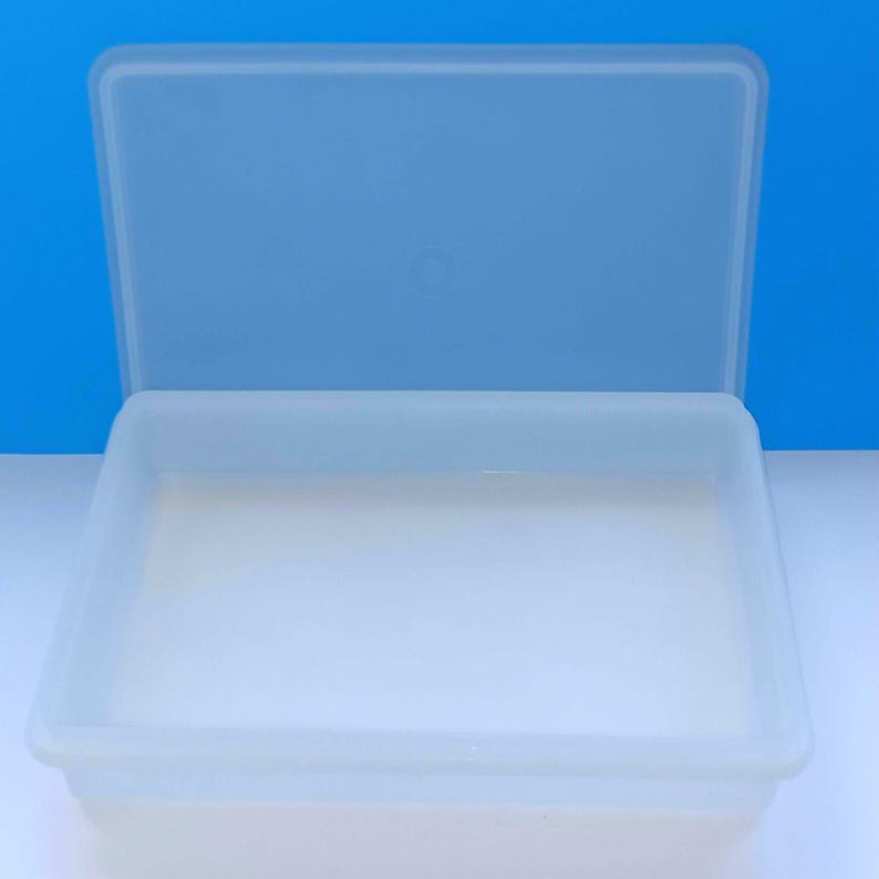 Tupperware Extra Long Rectangular Containers Vintage Tupperware Rectangular Food Storage Container, Collectible ...