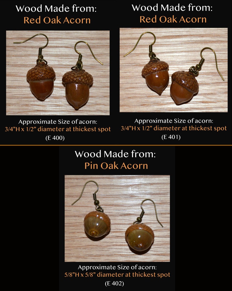 Earrings Acorns, Nature, Oak Tree, Tree of Life Actual Real Acorns image 5