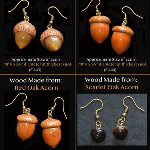 Earrings Acorns, Nature, Oak Tree, Tree of Life Actual Real Acorns image 6