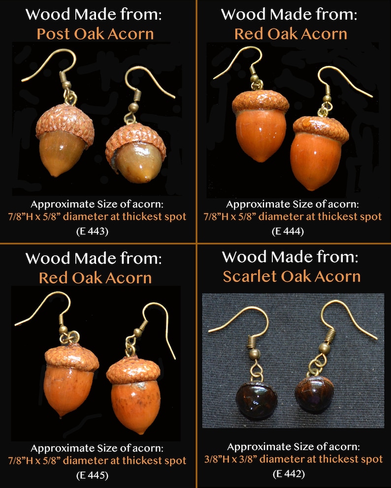 Earrings Acorns, Nature, Oak Tree, Tree of Life Actual Real Acorns image 6