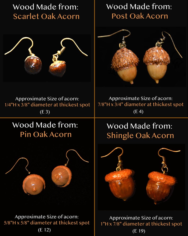 Earrings Acorns, Nature, Oak Tree, Tree of Life Actual Real Acorns image 2
