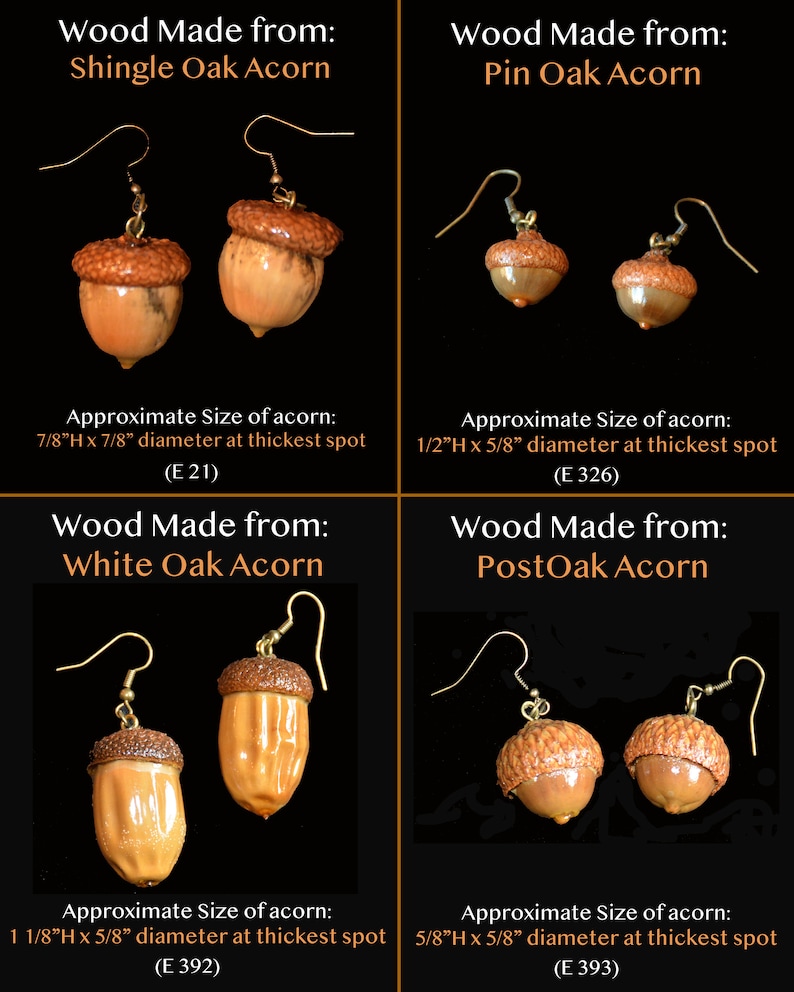 Earrings Acorns, Nature, Oak Tree, Tree of Life Actual Real Acorns image 3