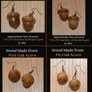 Earrings Acorns, Nature, Oak Tree, Tree of Life Actual Real Acorns image 4