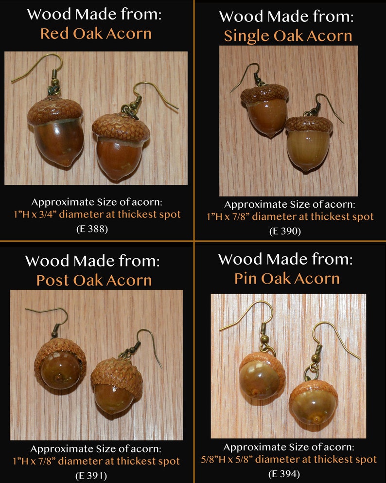 Earrings Acorns, Nature, Oak Tree, Tree of Life Actual Real Acorns image 4