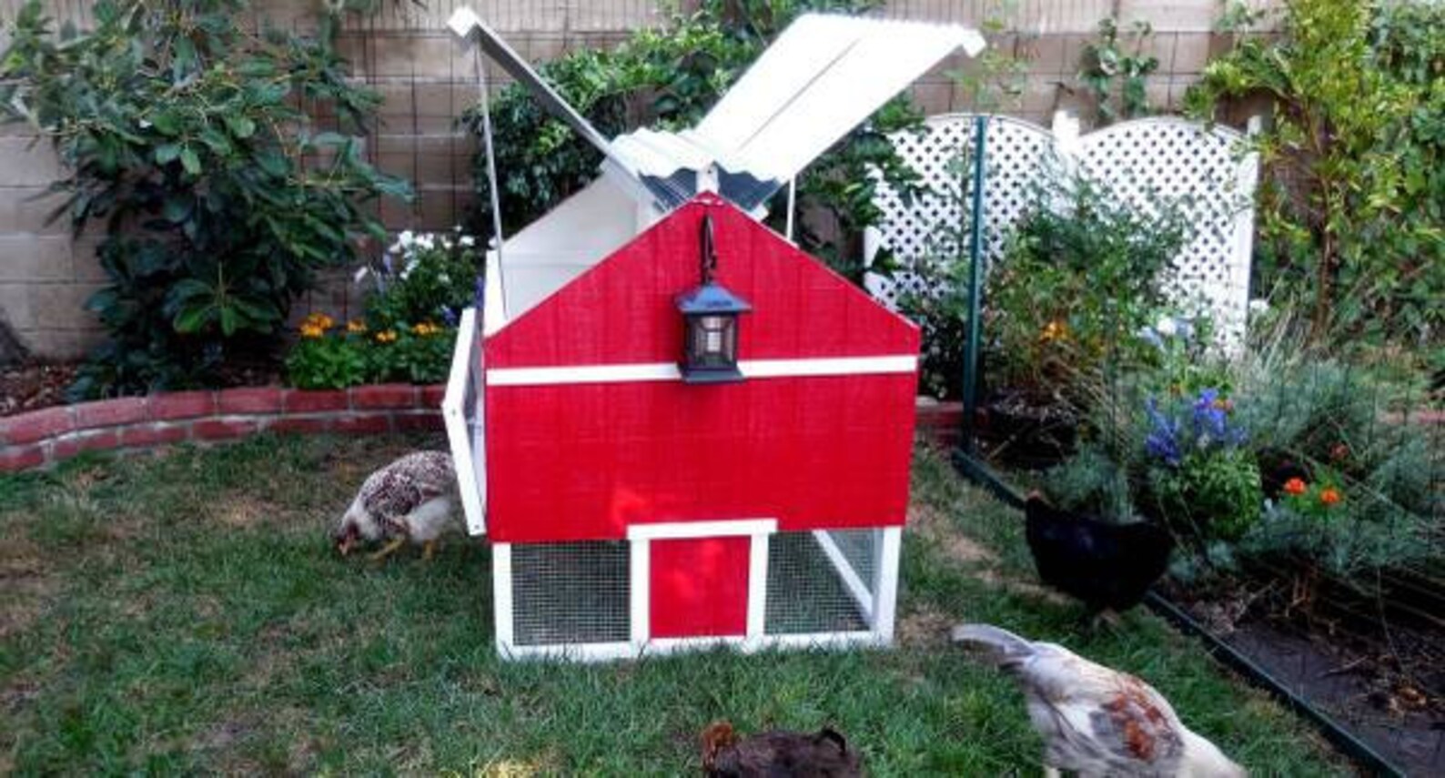 Chicken Coop Kit Etsy