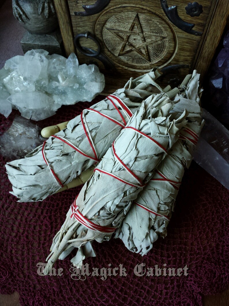 White Sage Smudge Wand 5in Hand Tied California Farmer Grown Etsy