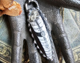 Orthoceras Fossil Pendant on a Necklace for Grounding, Transformation and Earth Energy, handmade Jewelry Magick