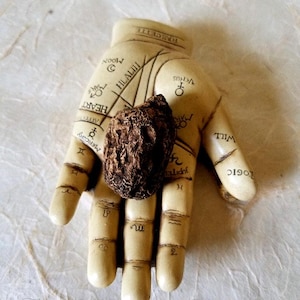 High John the Conqueror Root - Small to Medium size, for Money, Luck, Love, Potency and Success. Hoodoo and Witchcraft Herbs for Spells