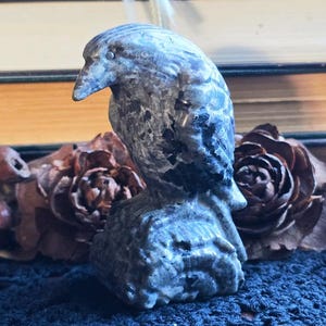 Yooperlite Raven Stone Carving: Halloween Altar Decor