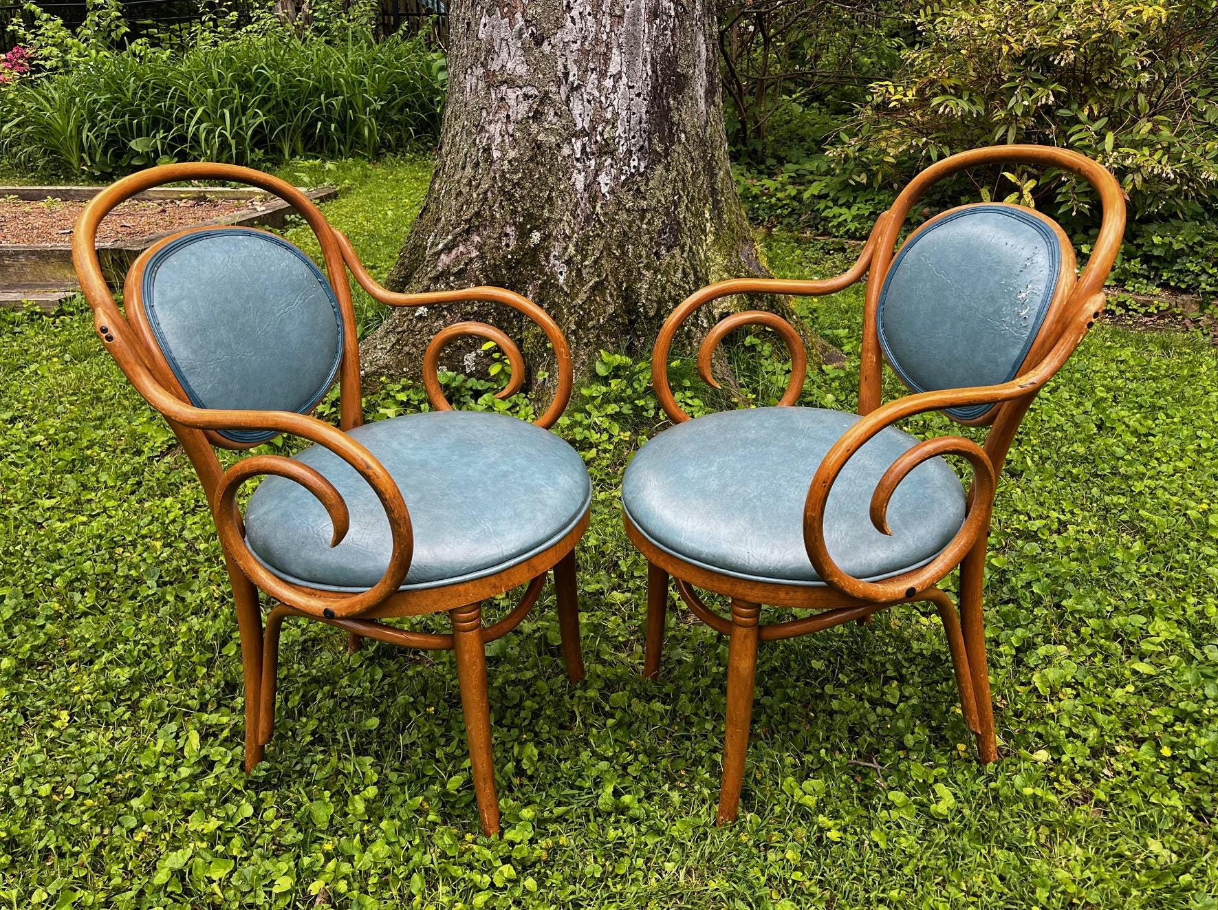 Thonet Vintage Armchair - Etsy