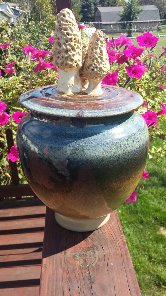 Items similar to Lidded Morel mushroom jar ceramic beautiful wild fungi