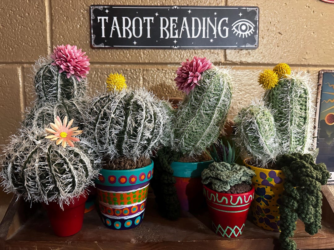 Graduating Cactus Perfect Graduation Gift -crocheted Cactus Plant – Hand-painted Pots ...