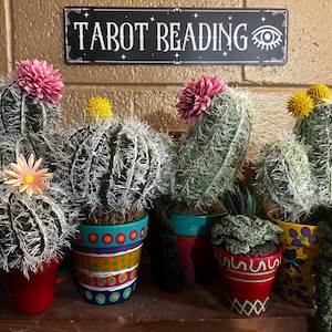 May include: Five crocheted cactus plants in colorful painted pots. The pots have different patterns and designs. The sign above reads "Tarot Reading".