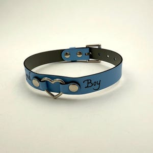 May include: A pale blue collar featuring a heart-shaped pendant and the word "Boy" in black script. It has a silver buckle and rivets. The interior is grey.