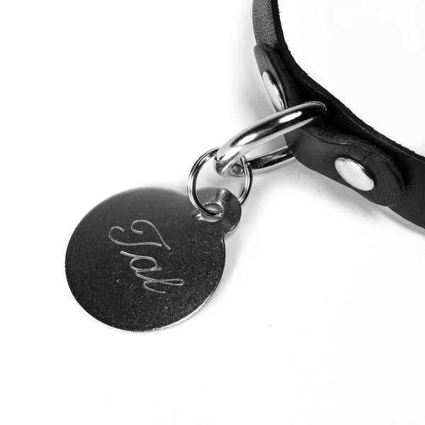 Custom Collar Tag, Personalized Collar Tag, Engraved Metal Tag