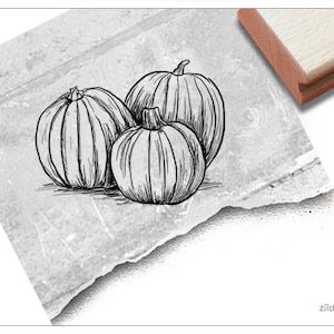 Stempel Halloween Kürbisse - Motivstempel, Bildstempel, für Basteln, Karten, Tischdeko, Kunst, Scrapbook, Herbst-Deko, Geschenk für Kinder