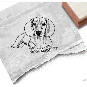 Stempel Dackel - Motivstempel mit Dachshund - Tierstempel mit Hund Teckel Dackelstempel - für Karten, Basteln und Deko, Scrapbook, Geschenk