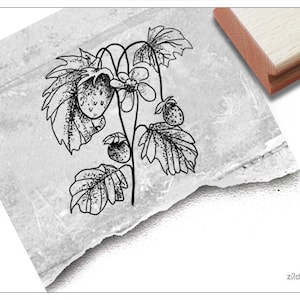 Tampon à motif fraisier avec fraises - tampon d'image pour cartes, étiquettes et panneaux, scrapbooking, art et décoration, jardin