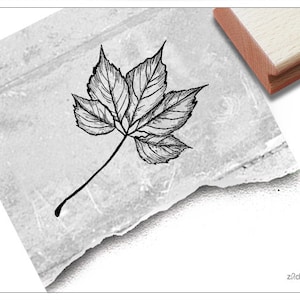 Timbro con motivo foglia di castagno II – timbro per fai da te, cartoline, decorazioni da tavola, arte, album di ritagli, decorazioni autunnali, regalo per bambini