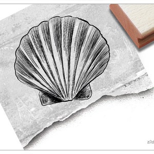 Timbre motif timbre image - coquillage - cadeau pour enfants, timbre maritime, pour scrapbooking, livre photo et décoration