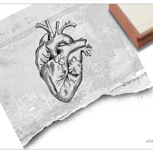 Stempel Anatomisches Herz - Motivstempel, Medizin, Schule, Liebe, Valentinstag, Hochzeit, Karten, Scrapbook, Bullet Journal, Basteln, Kunst