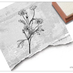 Stempel Motivstempel Erdbeer-Pflanze - Bildstempel für Karten, Etiketten und Schilder, Scrapbook, Kunst und Deko, Garten, Geschenk