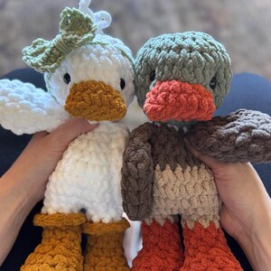 Duck amigurumi crochet pattern featuring two plush ducks side by side