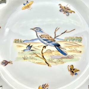 May include: White porcelain plate with a detailed bird and butterfly design. The plate features a central image of a blue and brown bird perched on a branch, surrounded by painted butterflies. The rim has a decorative, openwork design.