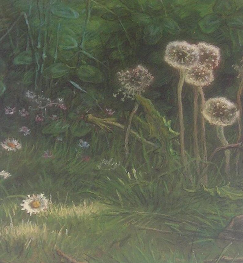 DANDELIONS Illustration, Vintage Book Page Botanical Art, Jean Francois Millett Artist Etsy