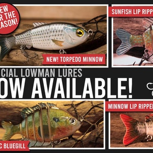May include: Four fishing lures, including a torpedo minnow, a sunfish, a classic bluegill, and a minnow. The lures are all realistic and detailed, with painted scales and fins. The lures are all part of the Lowman Lures brand. The text "OFFICIAL LOWMAN LURES NOW AVAILABLE!" is displayed on the image.