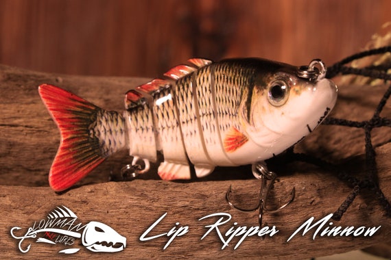2109 fly reels Bauer SLT Reel Colors:Chocolate Green Brown pawl system Pro-Cure 3.5