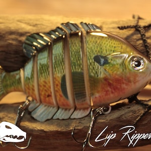Sunfish Swim Bait Fishing Lure (official Lowman Lure Lip Ripper)! Father's Day Fishing Gift! Bass Bait Fishing Tackle. Fishing Bait. - Etsy Sunfish Swim Bait Fishing Lure (official Lowman Lure Lip Ripper)! Father's Day Fishing Gift! Bass Bait Fishing Tackle. Fishing Bait. - Etsy