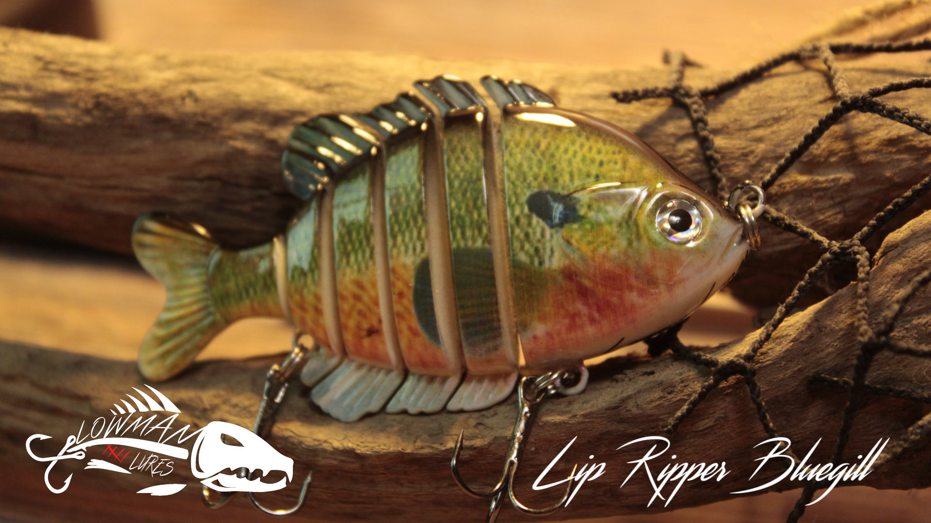 aggressive football helmet gator Florida Gators Riddell SpeedFlex Mid-Size meta-color-white HIRE DURATION:7 Days (recommended for a 3 day trip) Carp Fishing Pole Catfish Officially licensed hard hat