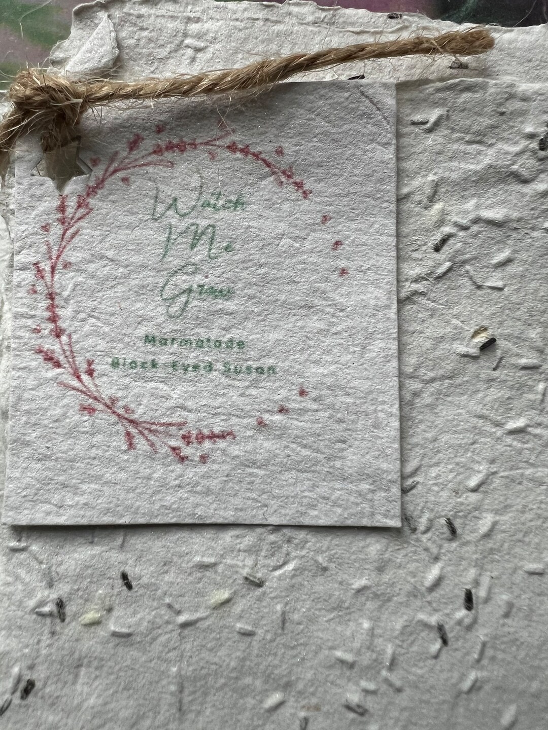 Watch Me Grow Marmalade Blackeyed Susan Seeds on Handmade Etsy