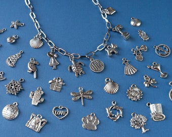 Può includere: Una collana argentata con vari ciondoli, tra cui una conchiglia, una tartaruga, un vestito e una bicicletta, su sfondo blu. Altri ciondoli includono un cuore con "LOVE" e un'impronta di zampa. La catena della collana è a maglie.