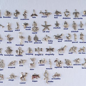 Individual Silver Charms for Charm Jewelry