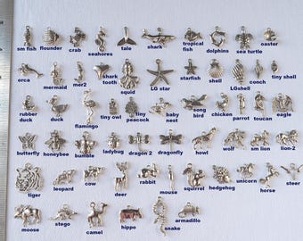 Individual Silver Charms for Charm Jewelry