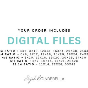 May include: White background with the text "YOUR ORDER INCLUDES DIGITAL FILES" in black and teal. Below, various aspect ratios and sizes are listed, such as 4x6, 8x12, 12x18, and 16x24 inches. The Digital Cinderella logo is at the bottom.