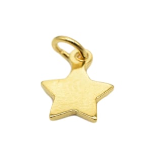 Op de afbeelding: Een gouden stervormige hanger met een lus om aan een ketting of armband te bevestigen.