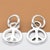 CRAFT WIRE 6 Gauge, 925 Sterling Silver Wire (Round) Dead Soft Made in USA - 1FT