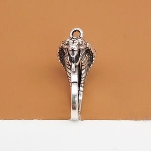 Puede incluir: Encanto de colgante de plata en forma de cabeza de cobra con un diseño detallado.