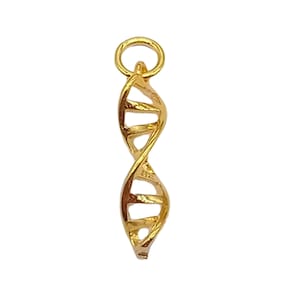 14K Gold Vermeil Style DNA Charm, Double Helix Charm, 14K Gold Plated over 925 Sterling Silver DNA Charm for Bracelet Necklace