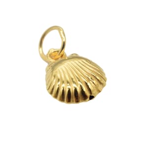 Pode incluir: Um amuleto de concha de mar dourado com um laço para prender a um colar ou pulseira.