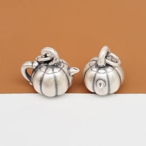 May include: Two silver teapot charms, one with a spout and handle, the other without. Both have a textured, pumpkin-like design.