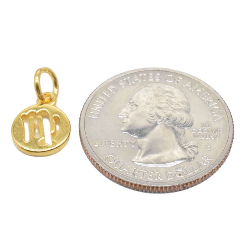 925 Sterling Silver Zodiac Charm with Heavy 18K Gold Plated Zodiac Charms for Bracelet Necklace 2pcs 18K Gold Vermeil Style Virgo Charms