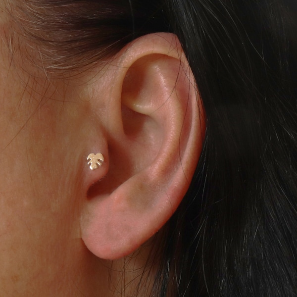 Monstera Leaf Tragus Stud • Hand Crafted from Sterling Silver • Tropical Leaf Earring • Bioflex 16 Gauge Push Fit • Silver Tragus Jewelry