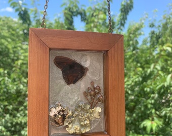 Real Moth Resin Wall Hanging, Dried Botanicals, Wooden Frame