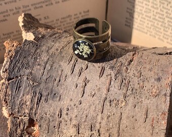 Pressed Queen Anne's Lace Flower Ring, Antique Brass, Resin Jewelry