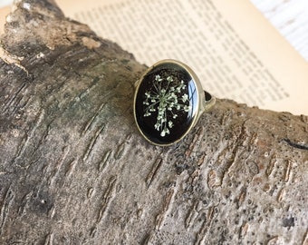 Pressed Queen Annes Lace Flower Ring, Antique Brass Resin Jewelry